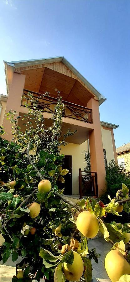 Gabala Sweet Home Exteriör bild