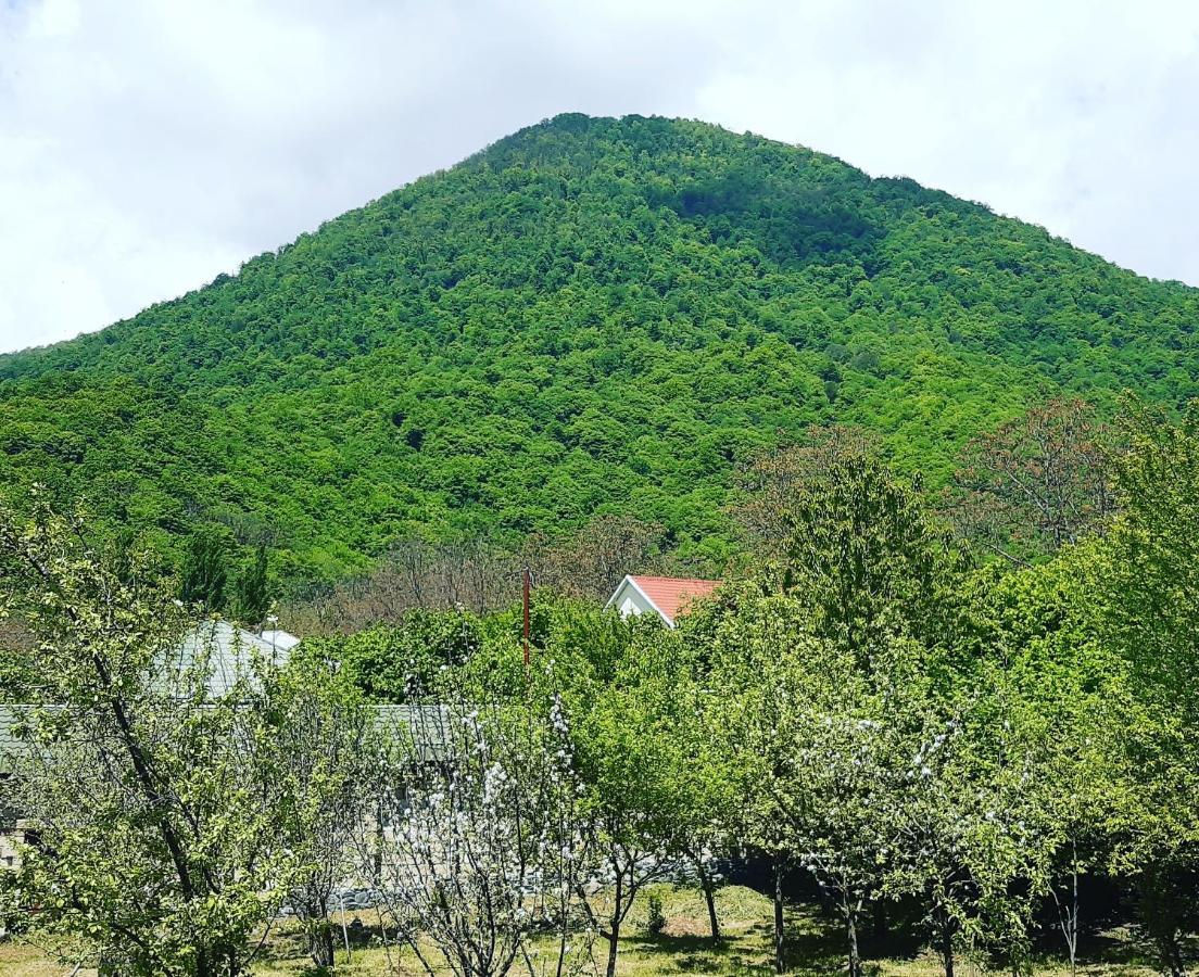 Gabala Sweet Home Exteriör bild